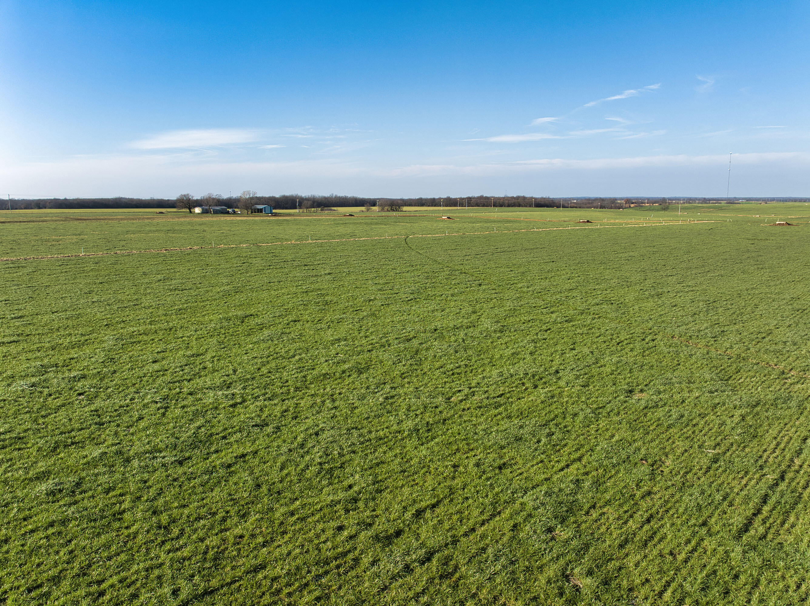 24990 Kentucky Road Granby, MO 64844 - Photo 12 of 61 DJI_20251205143054_0015_D