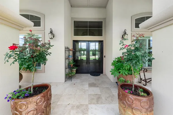 a potted plant sitting in front of a house