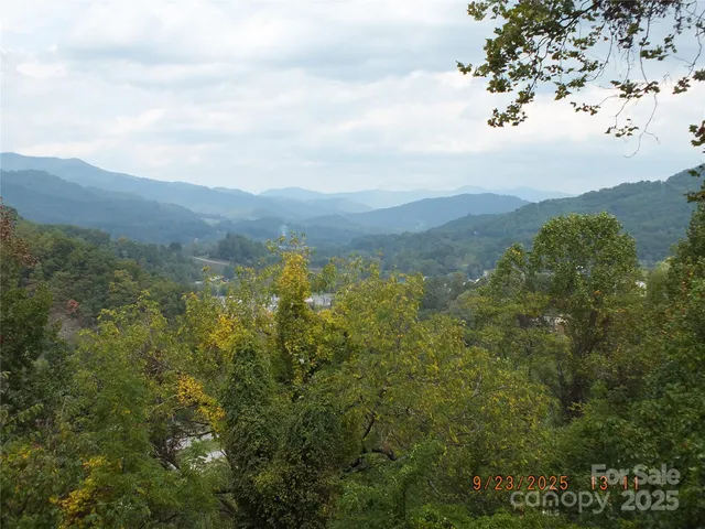 an aerial view of houses covered in trees
