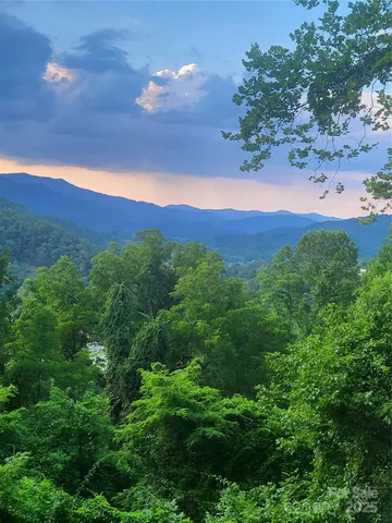 a view of a lush green hillside and a mountain