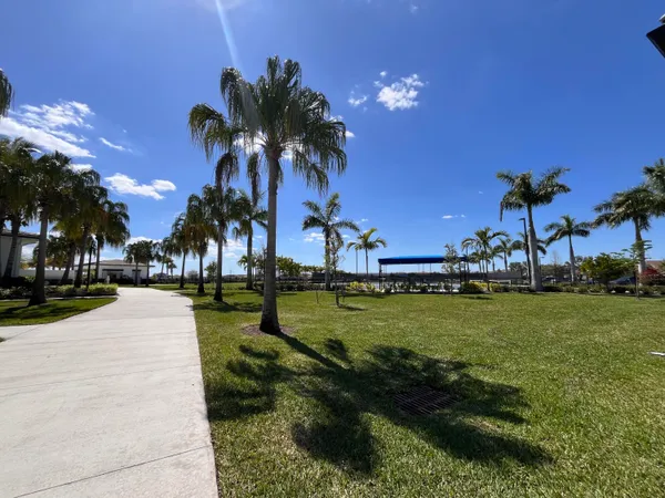 a view of a yard with palm trees
