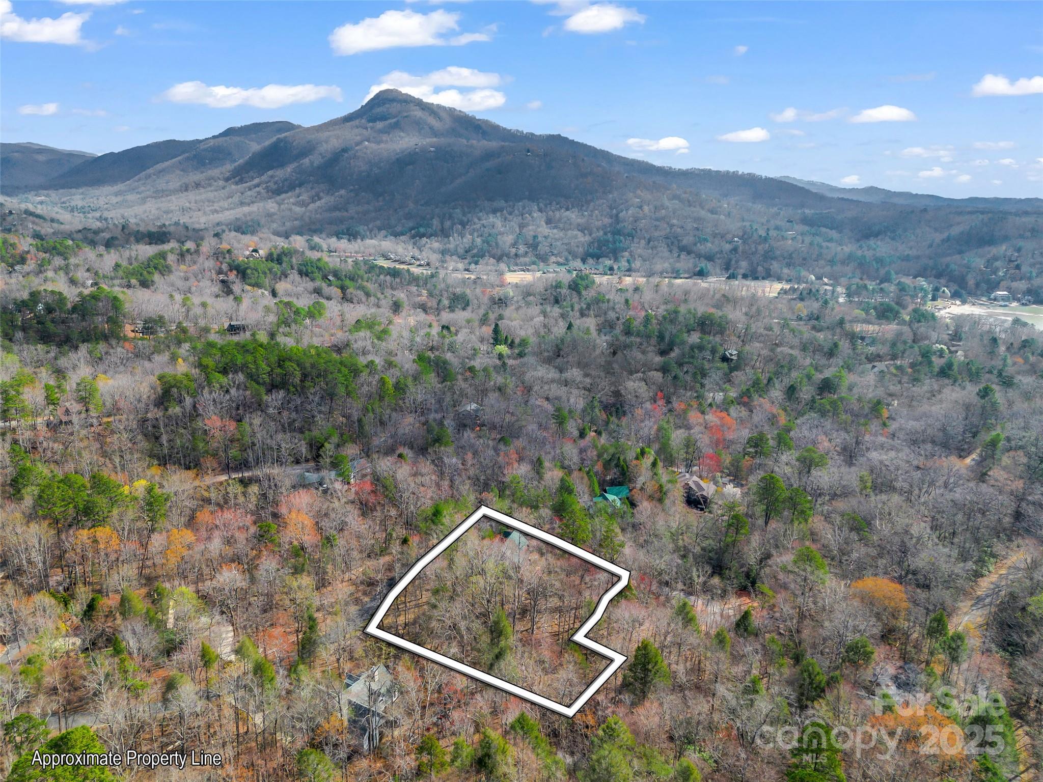 145 Quail Ridge Road Lake Lure, NC 28746 - Photo 28 of 48 Gallery Image 28