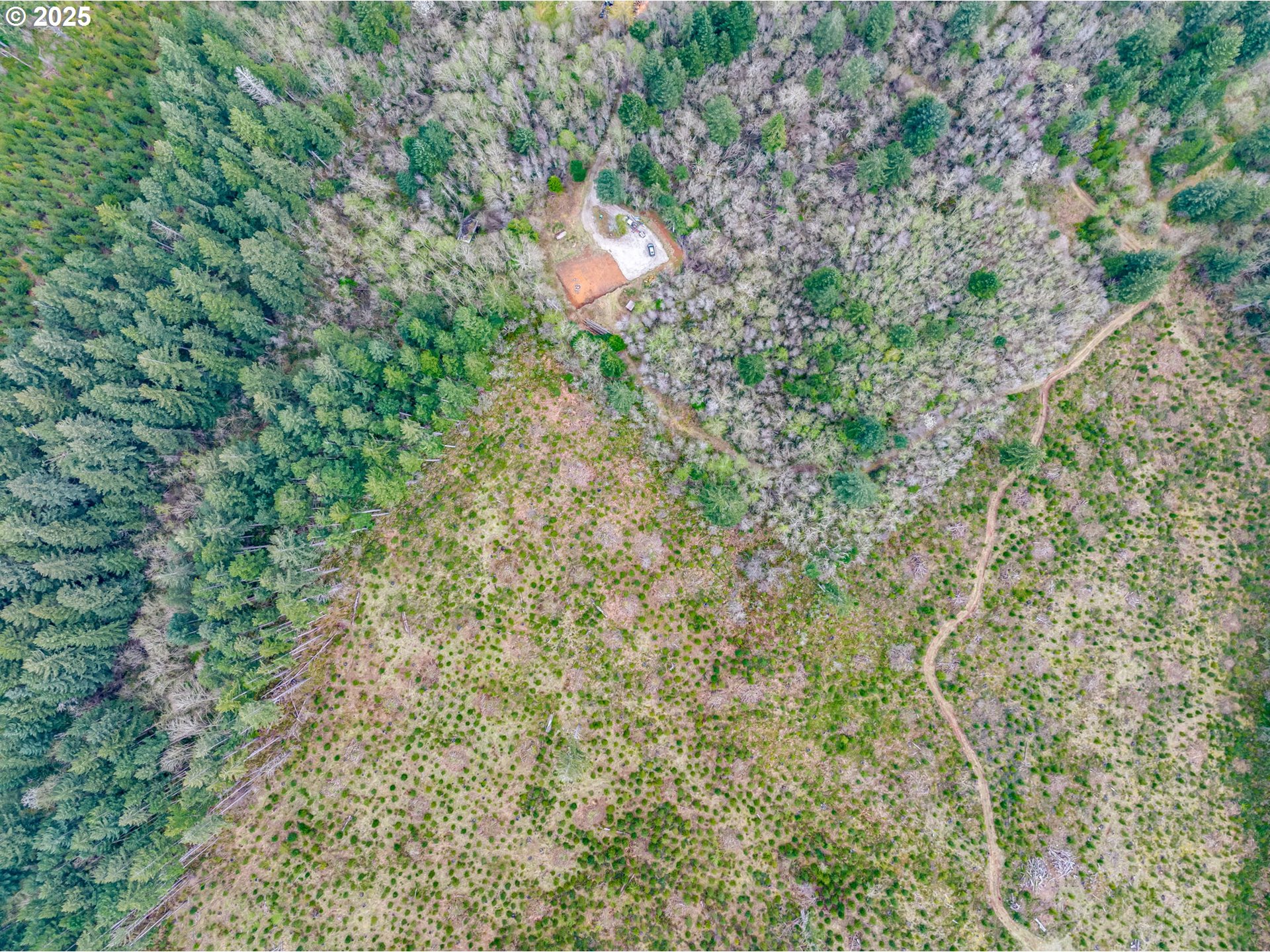 5506 Northeast 349th Avenue Camas, WA 98607 - Photo 15 of 35