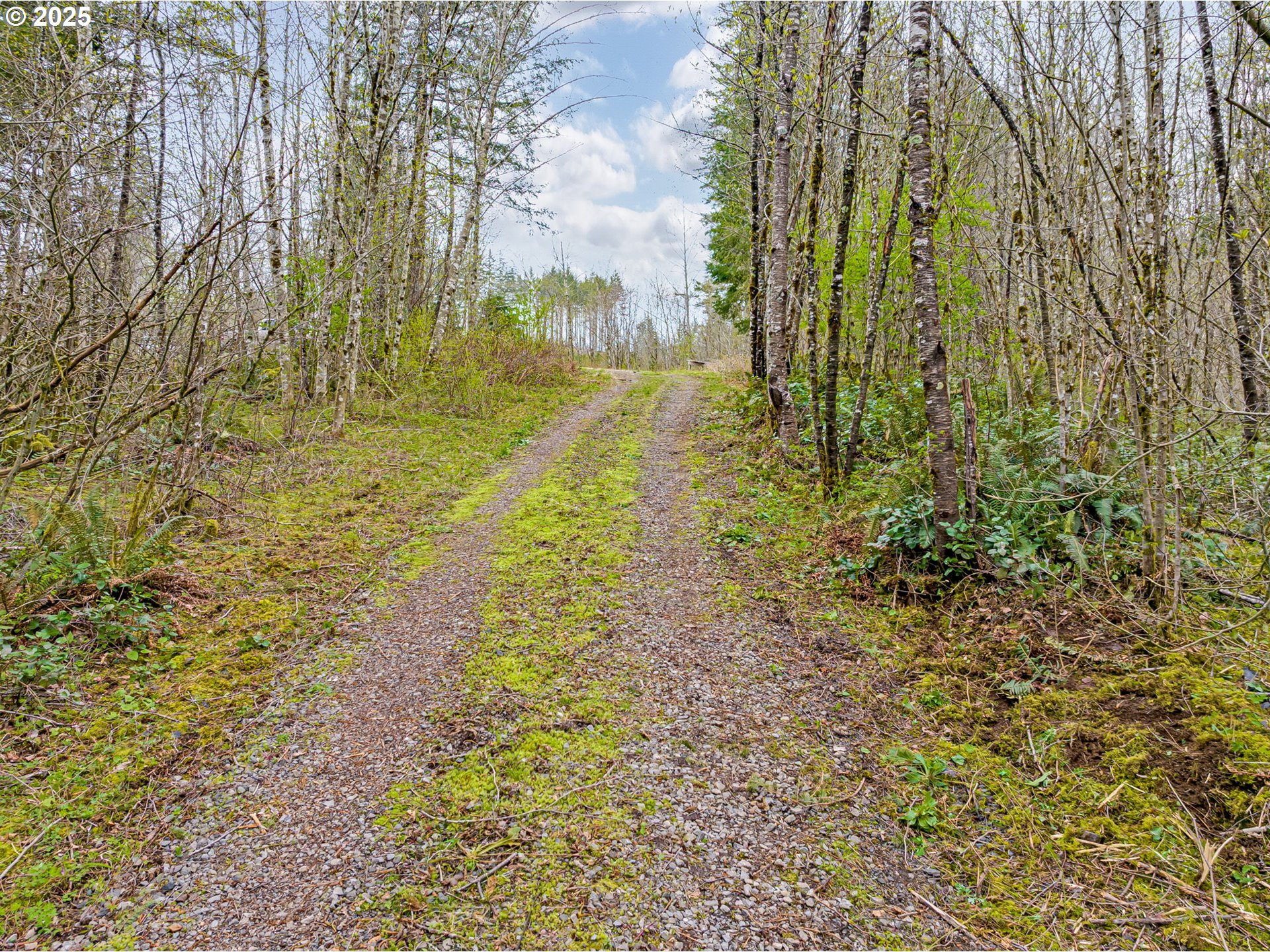 5506 Northeast 349th Avenue Camas, WA 98607 - Photo 16 of 35