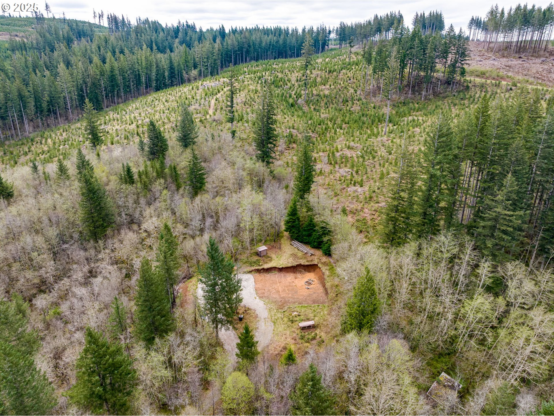 5506 Northeast 349th Avenue Camas, WA 98607 - Photo 4 of 35