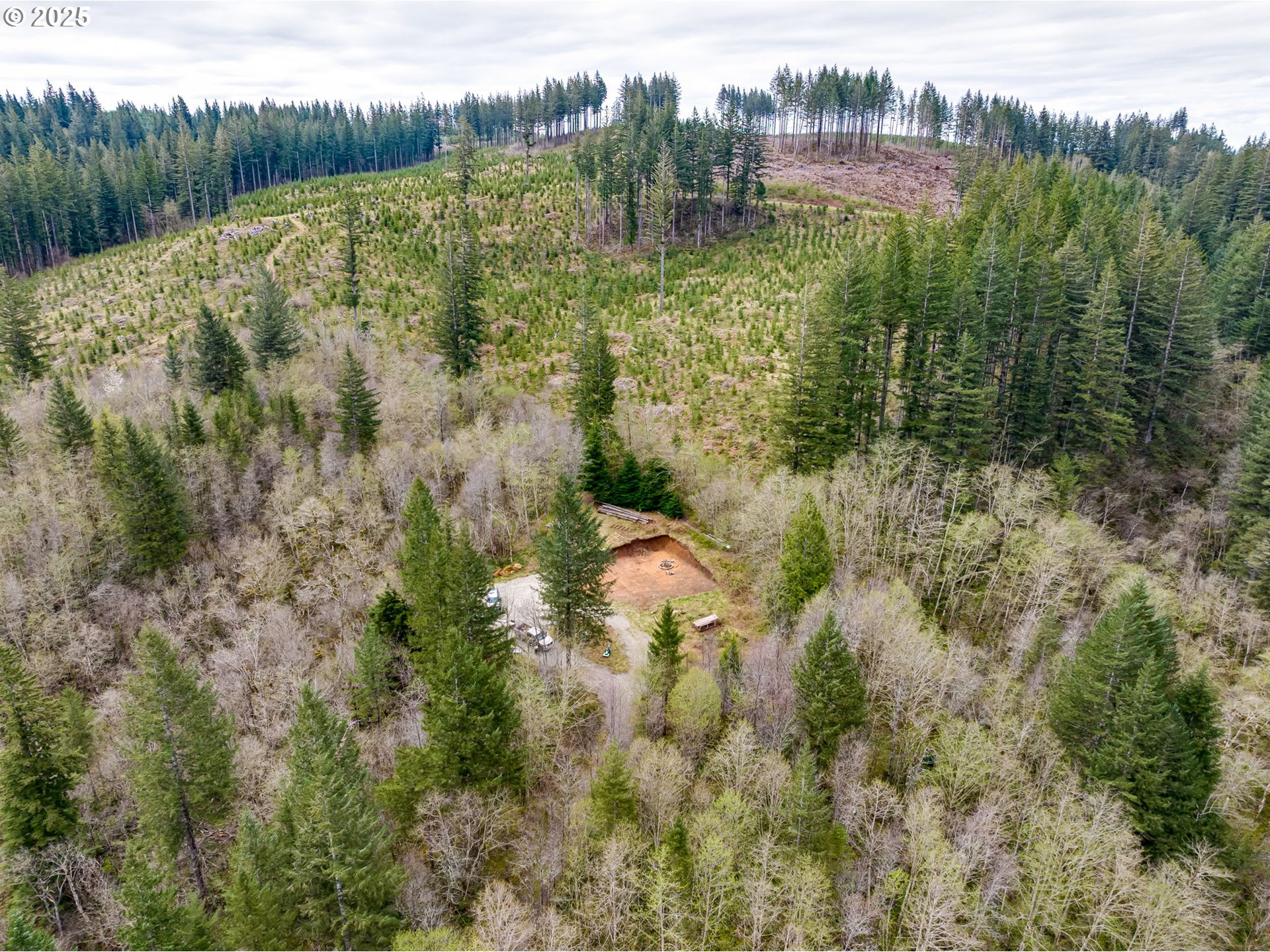 5506 Northeast 349th Avenue Camas, WA 98607 - Photo 5 of 35