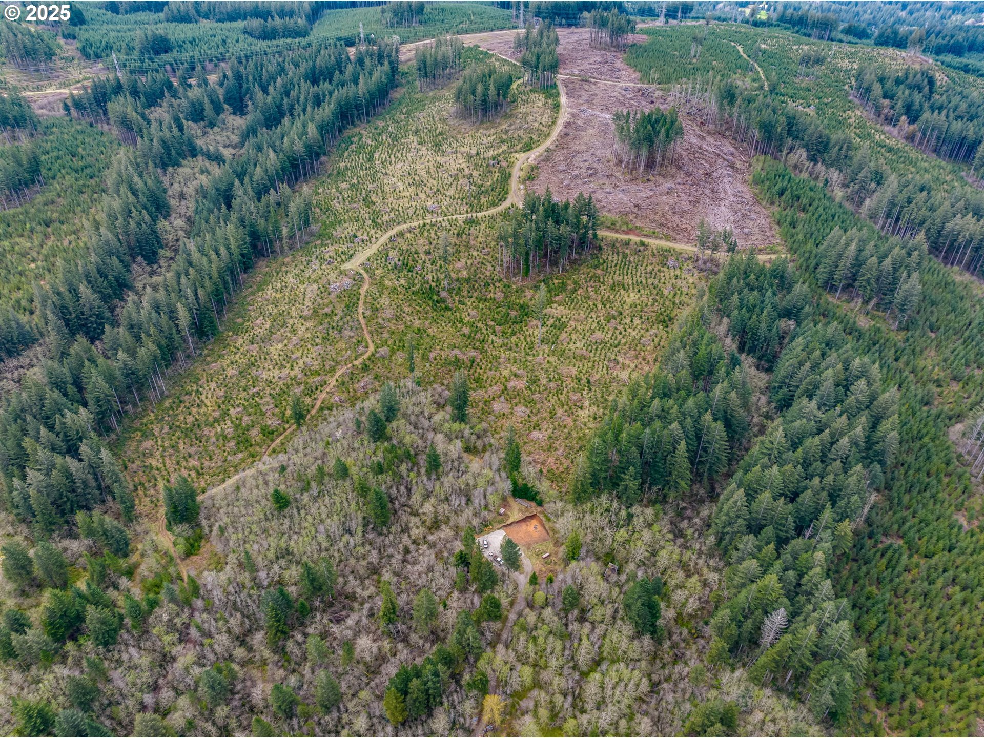 5506 Northeast 349th Avenue Camas, WA 98607 - Photo 9 of 35