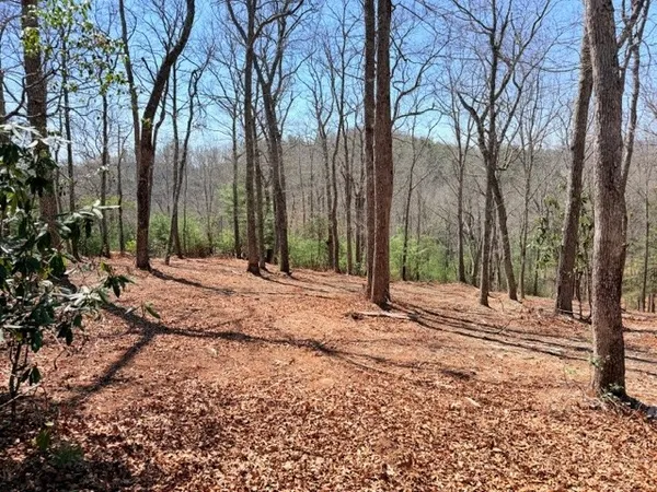 $74,900 | Lot66 Autumn Fern Trail, West Jefferson, NC 28694
