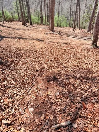 $74,900 | Lot66 Autumn Fern Trail, West Jefferson, NC 28694