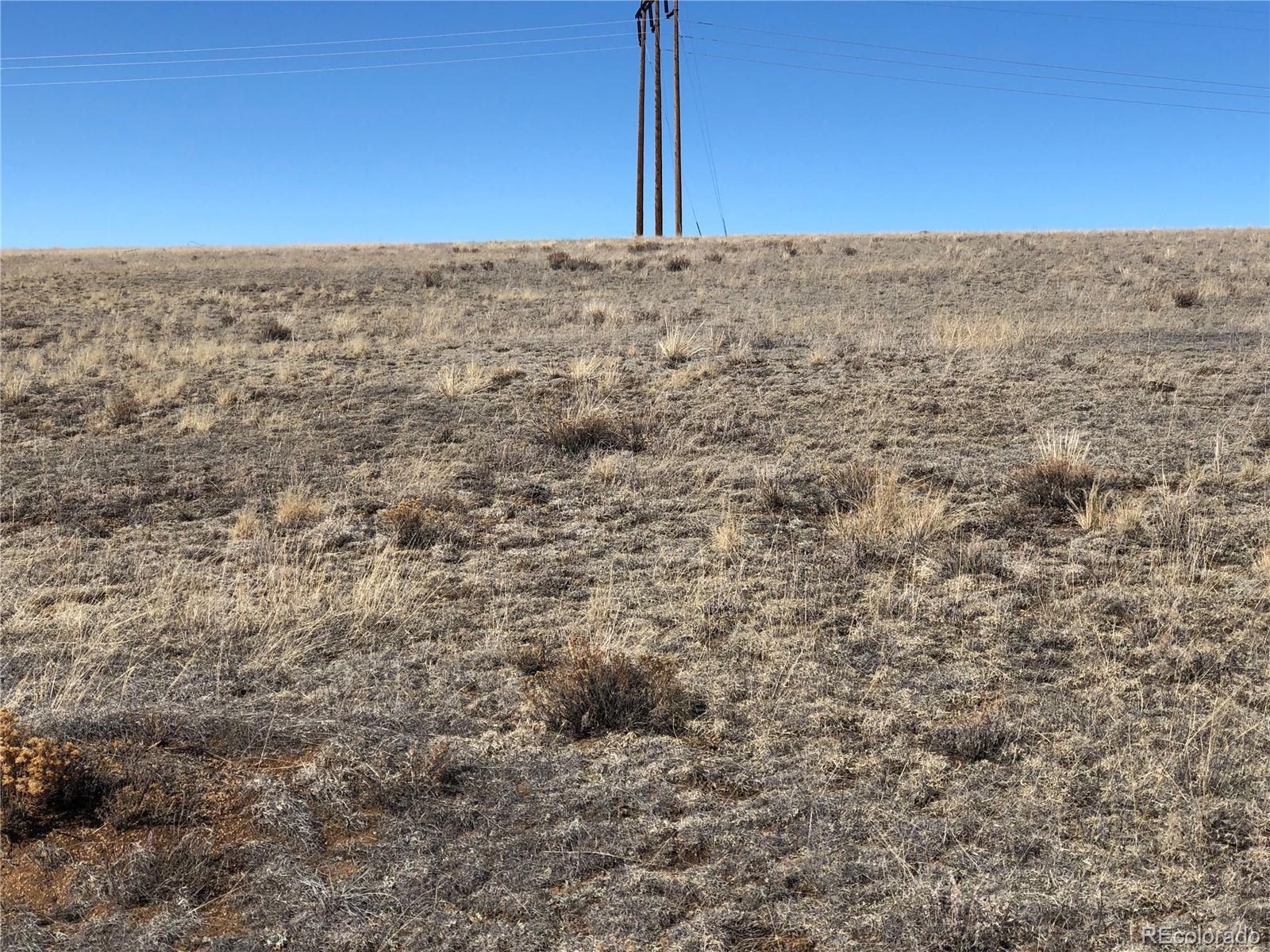 3209 Rio Blanco Road Hartsel, CO 80449 - Photo 6 of 20 a view of a road from a building