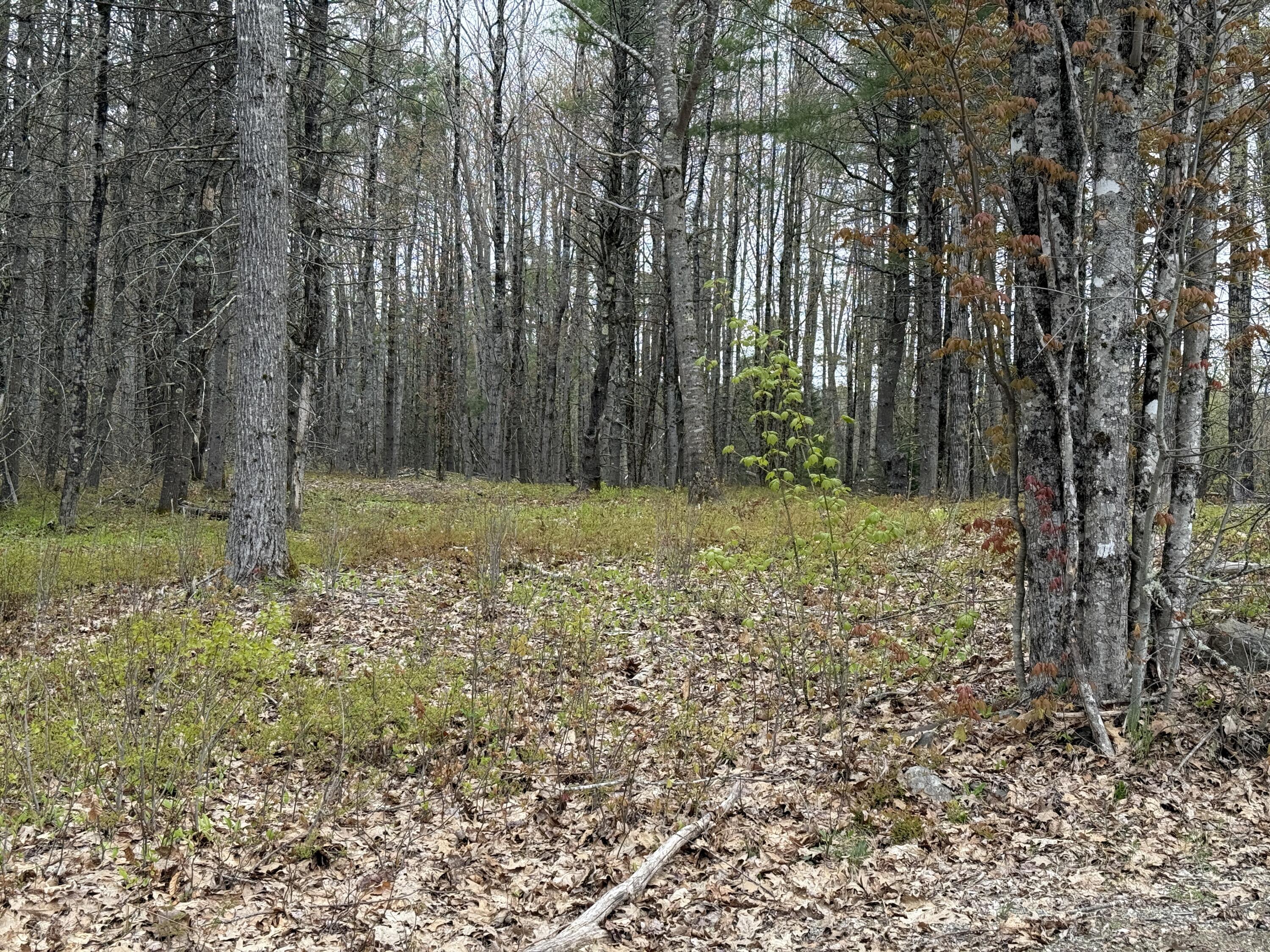 22 Albert Jones Road Washington, ME 04574 - Photo 6 of 9