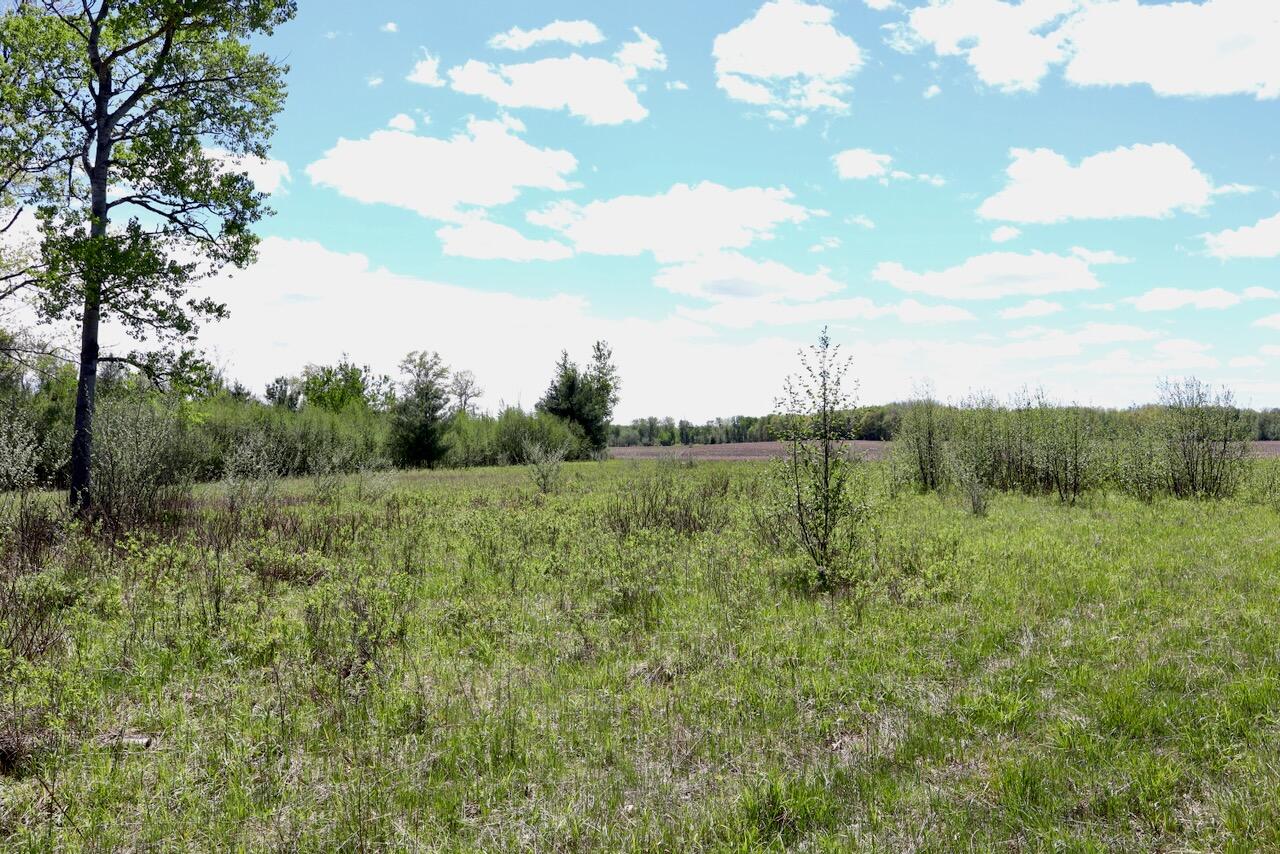 La Grant Road Alger, MI 48610 - Photo 20 of 46 015