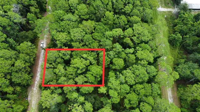 a view of a flower garden