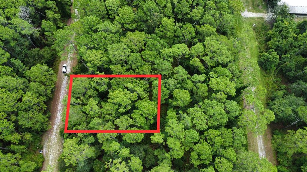 413 Dogwood Avenue Georgetown, FL 32139 - Photo 1 of 1 a view of a flower garden