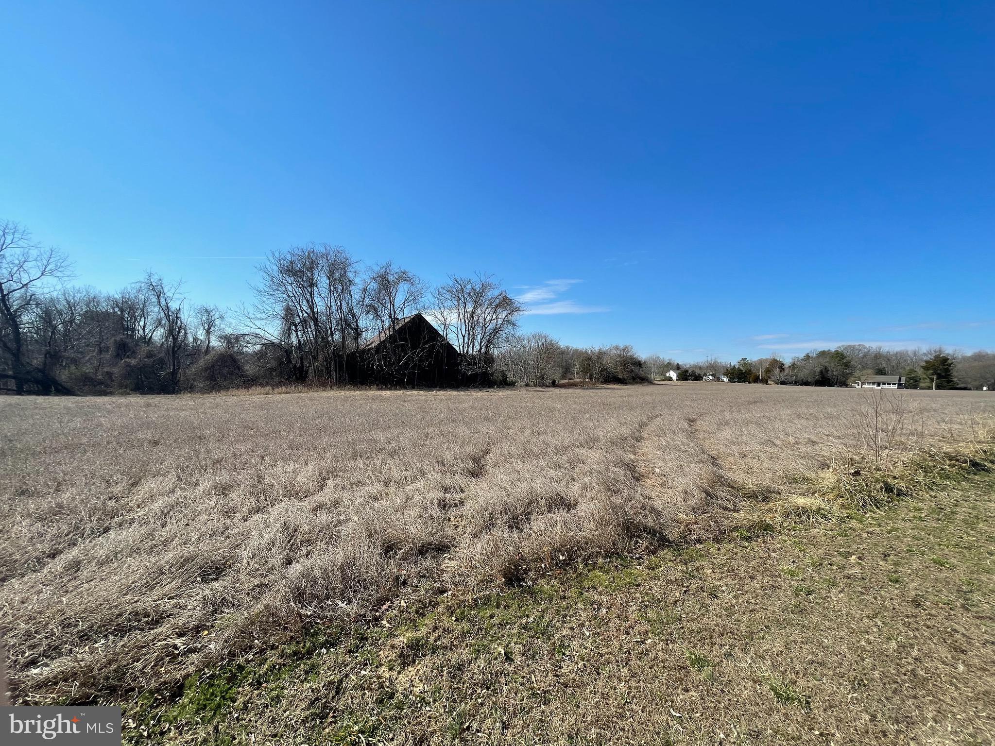 2860 Ross Road St. Leonard, MD 20685 - Photo 2 of 10 Pic from the lot for sale looking out to the road.