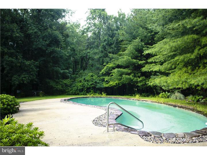 2033 Aquetong Road New Hope, PA 18938 - Photo 3 of 23 Pool