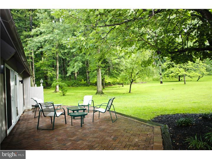 2033 Aquetong Road New Hope, PA 18938 - Photo 22 of 23 Patio