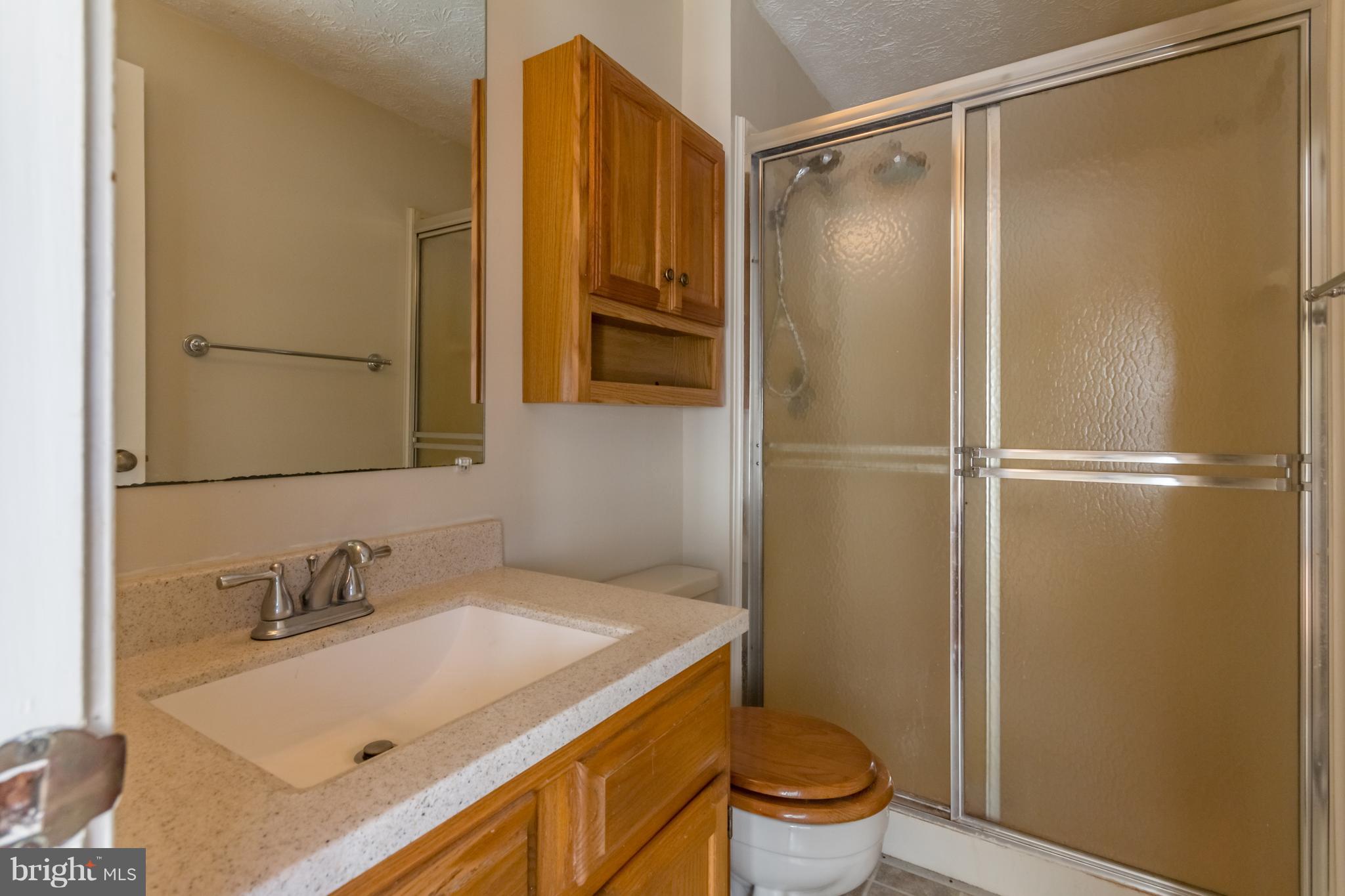 377 Cross Junction Road Cross Junction, VA 22625 - Photo 27 of 40 Master bath