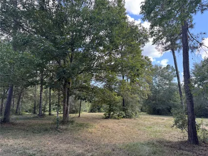 $384,900 | 200 Spring Ridge Road, Coldspring, TX 77331
