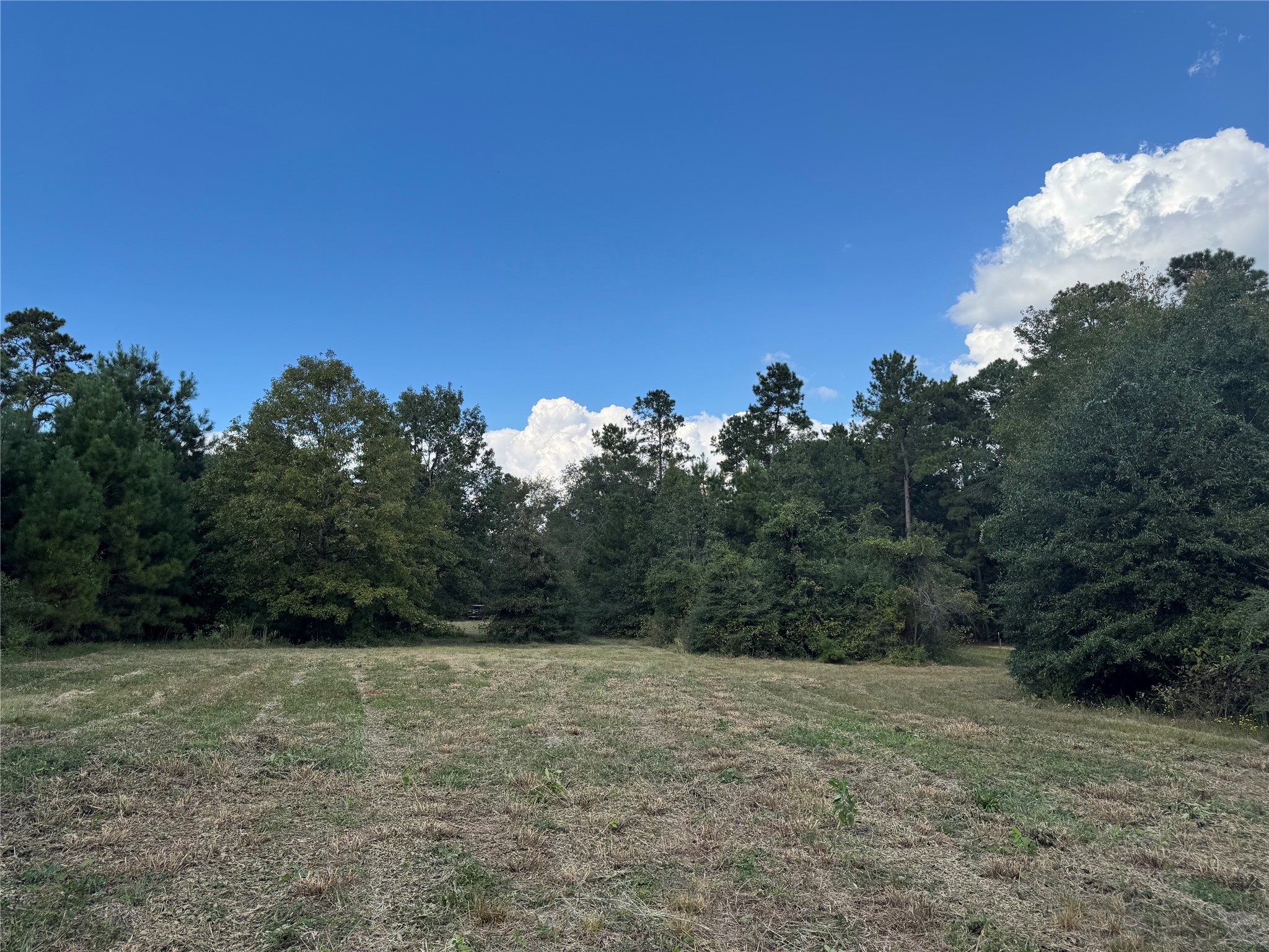 200 Spring Ridge Road Coldspring, TX 77331 - Photo 13 of 14 Large cleared spot towards the middle of the property. Another great spot for a home!