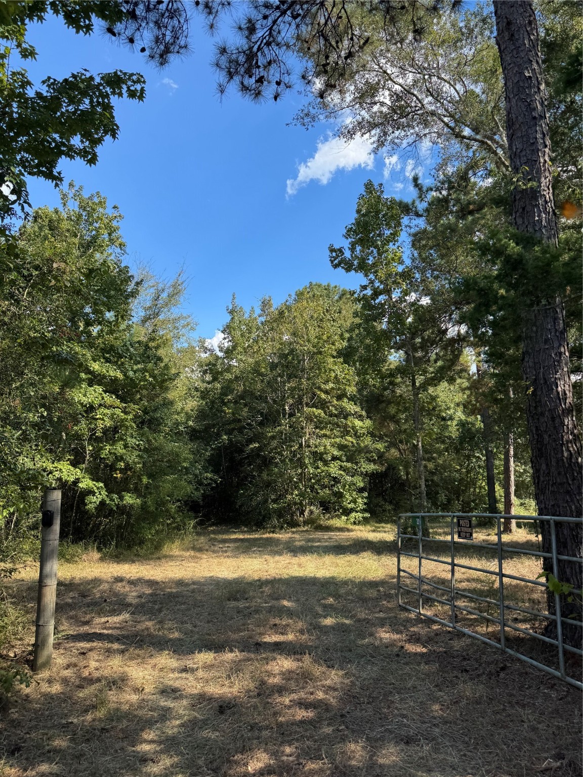 200 Spring Ridge Road Coldspring, TX 77331 - Photo 5 of 14 a view of a yard with a tree