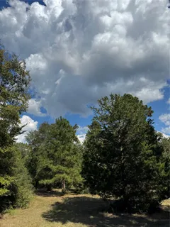 $384,900 | 200 Spring Ridge Road, Coldspring, TX 77331