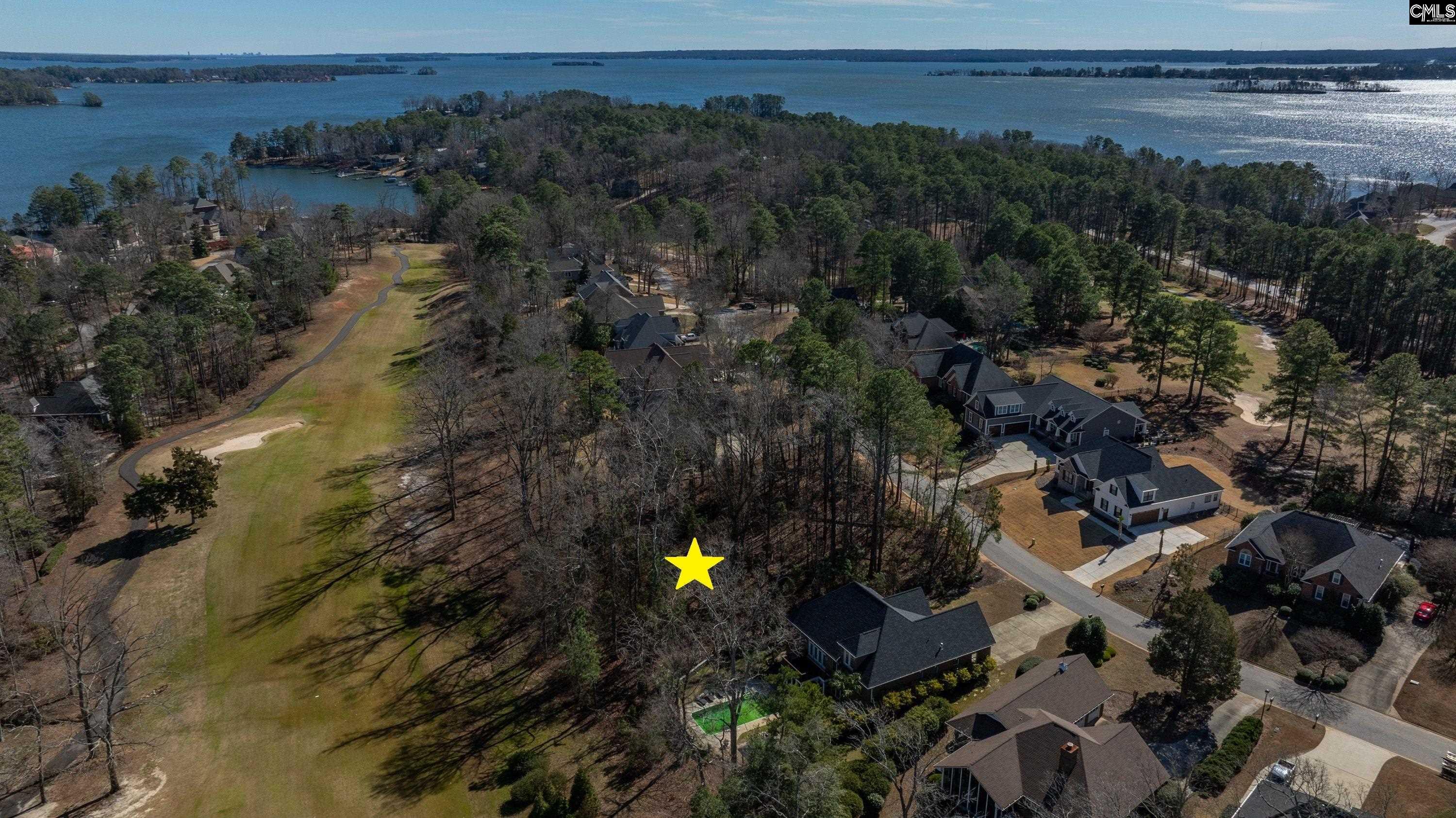 329 Oxenbridge Way Chapin, SC 29036 - Photo 3 of 29