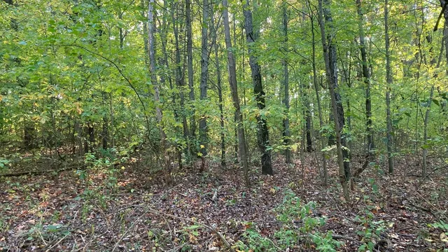 $18,500 | Vl Vl 8th Avenue, Grand Junction, MI 49056