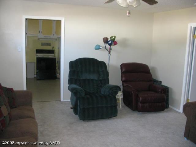 4200 South Jackson Street Amarillo, TX 79110 - Photo 8 of 8 a living room with furniture and a potted plant