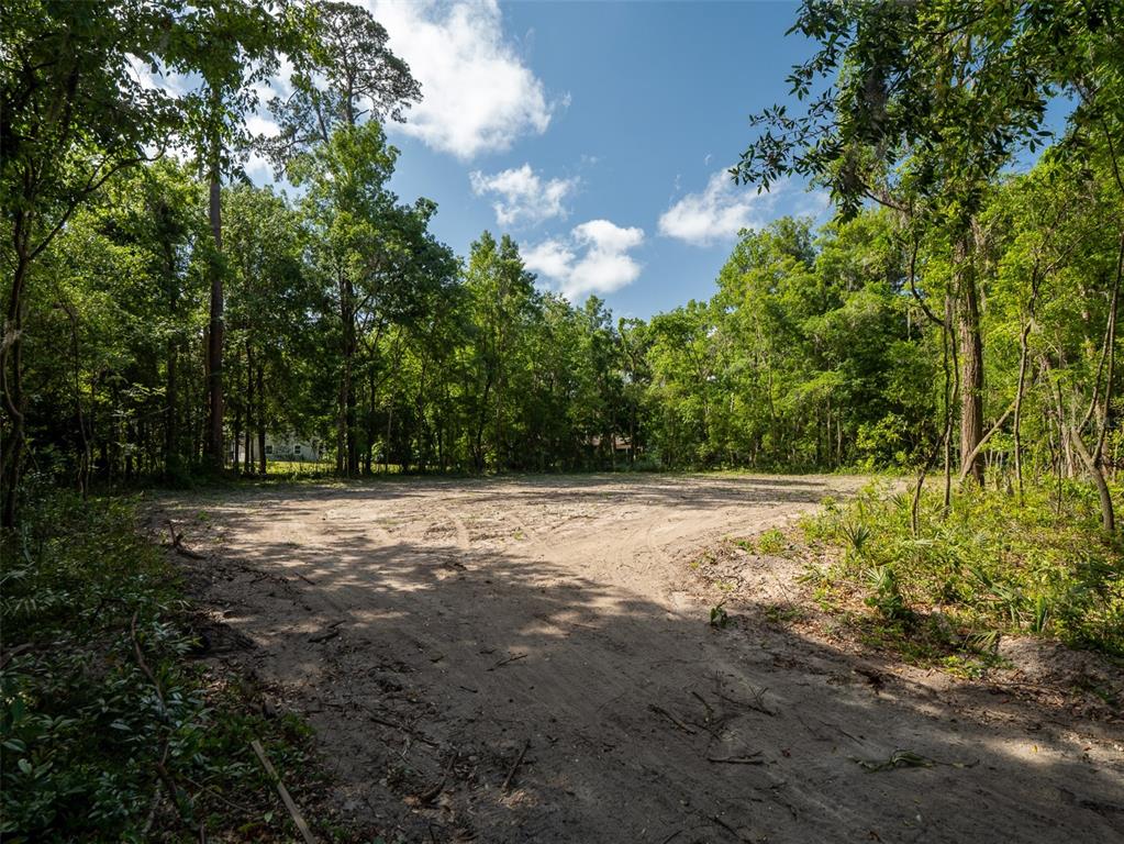 983 Southwest 25th Place Gainesville, FL 32608 - Photo 2 of 13 a view of a yard with plants and trees