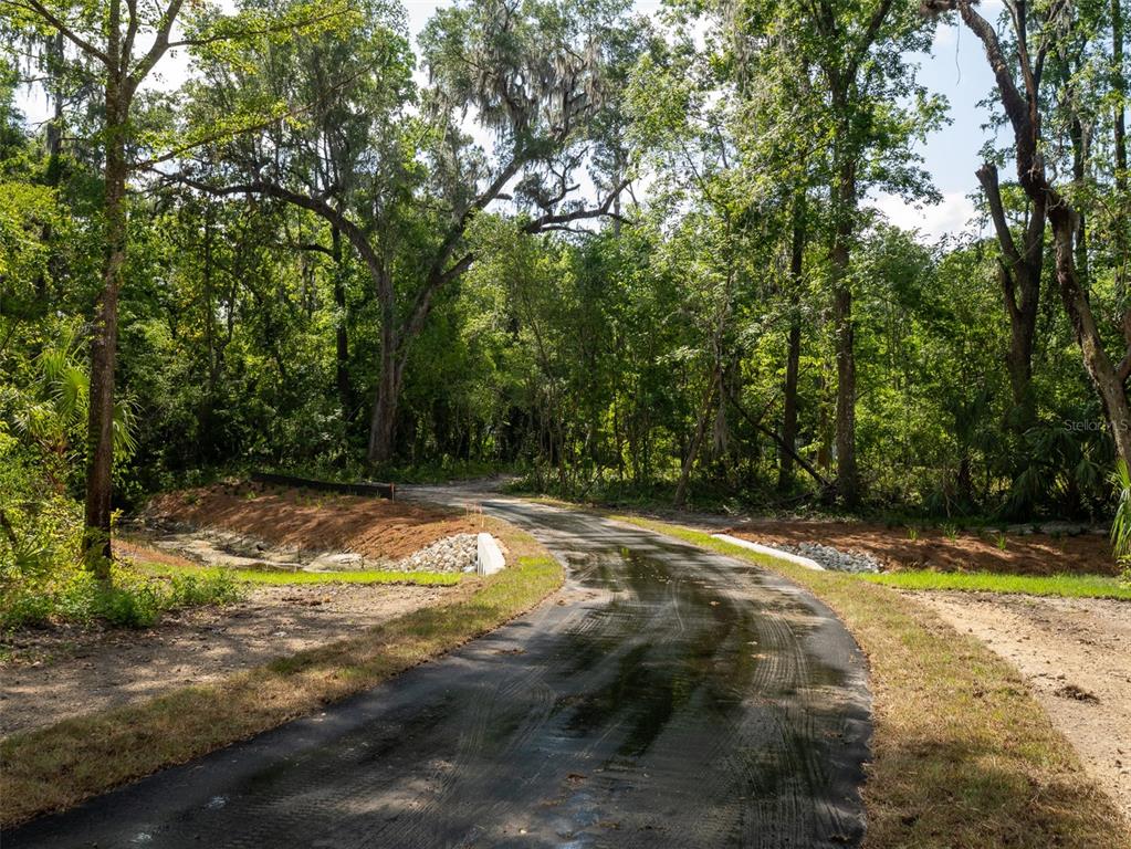 983 Southwest 25th Place Gainesville, FL 32608 - Photo 3 of 13 a view of a yard with trees