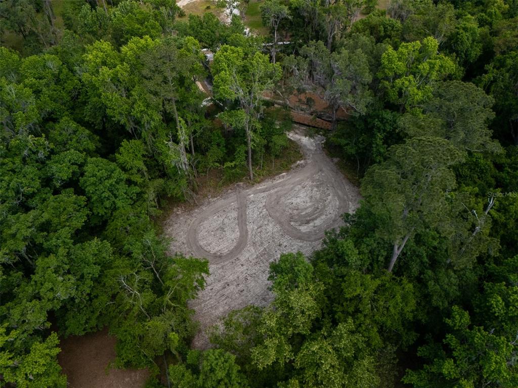 983 Southwest 25th Place Gainesville, FL 32608 - Photo 7 of 13 a view of a forest with a tree