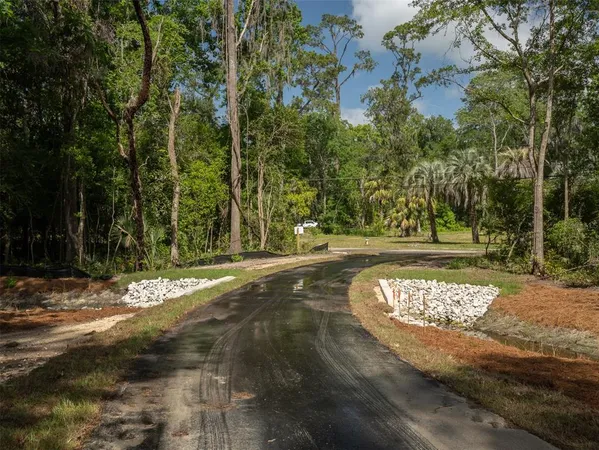 a view of a tree in a yard