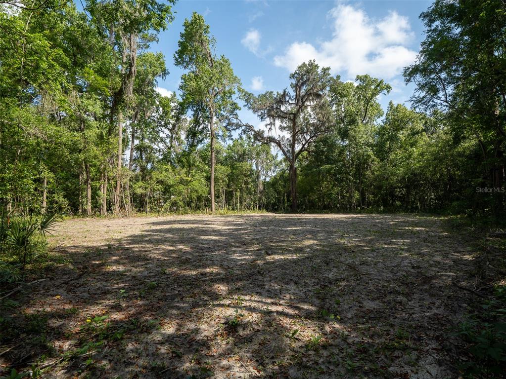 983 Southwest 25th Place Gainesville, FL 32608 - Photo 10 of 13 a view of a field with trees in the background