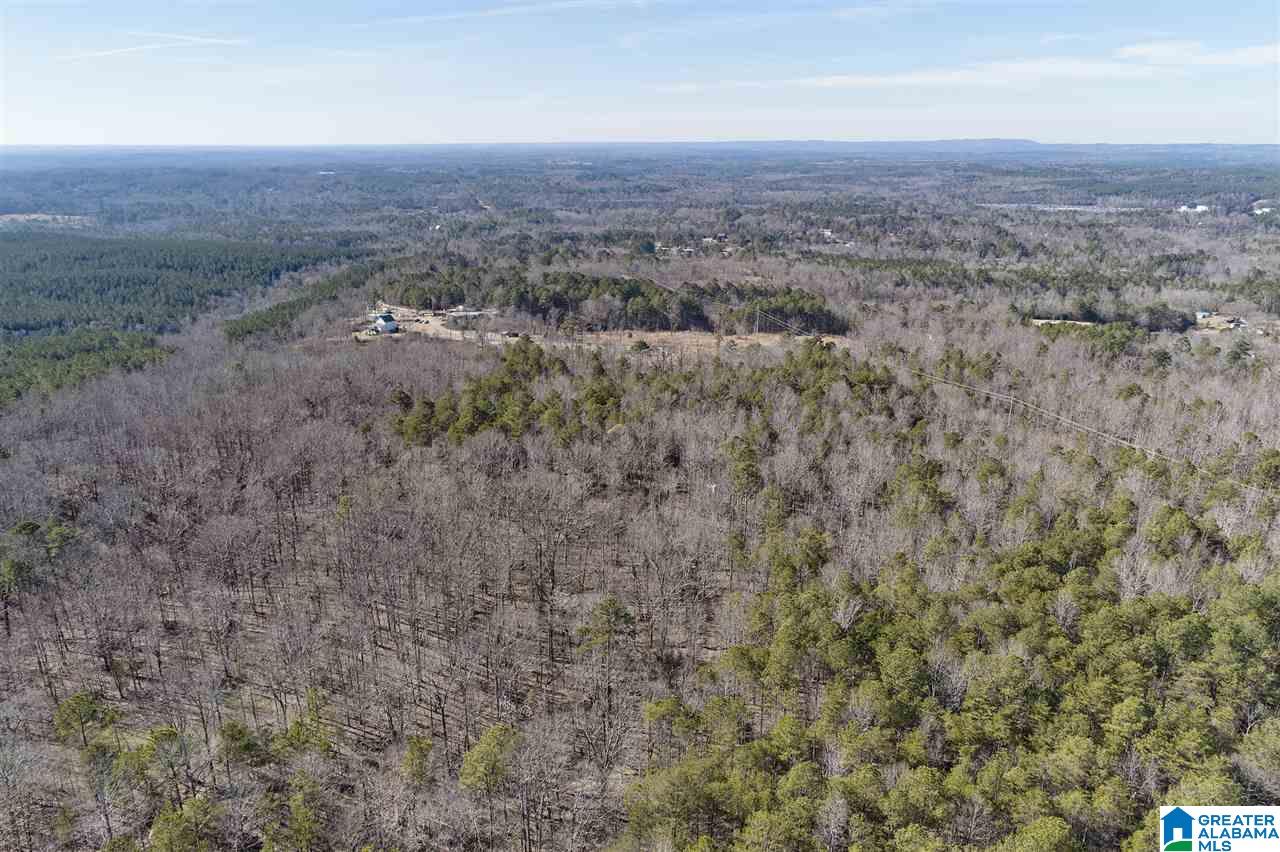 0 Mountain Drive, Unit 159ACRES Remlap, AL 35133 - Photo 4 of 8