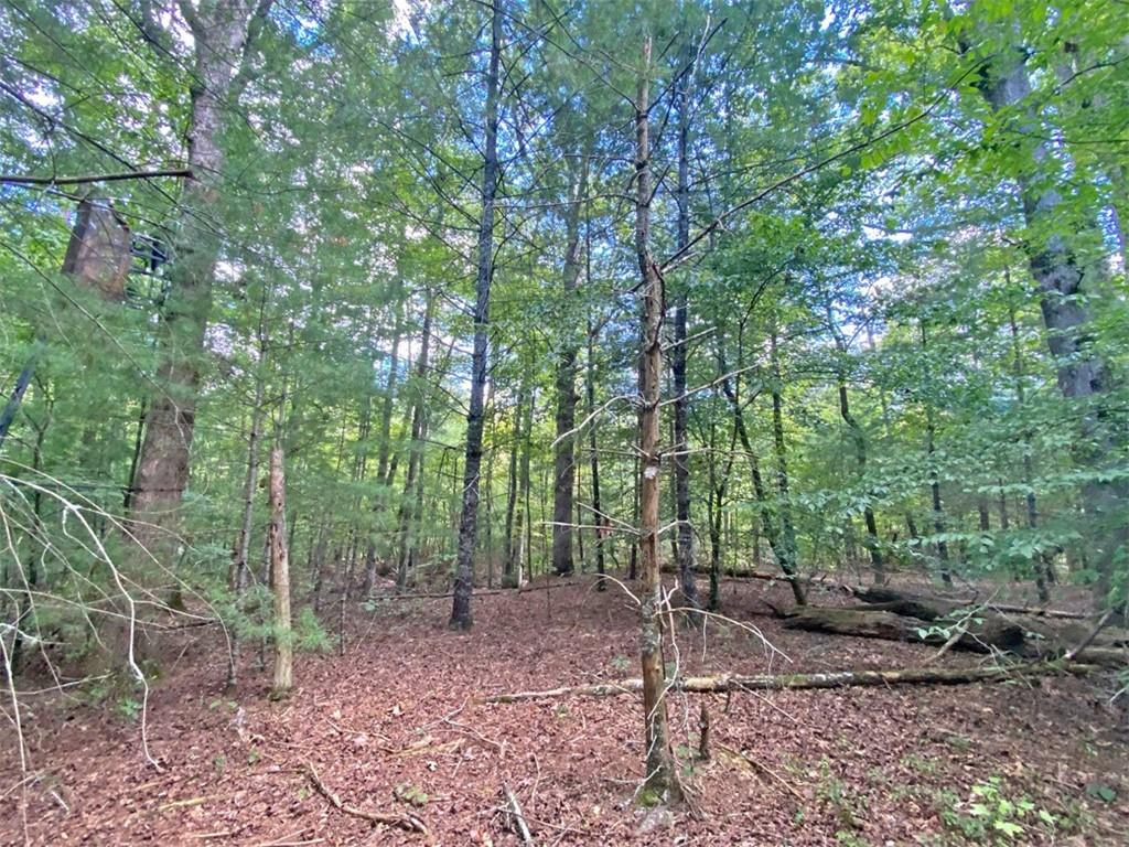 153-ac Whitepath Road Ellijay, GA 30540 - Photo 10 of 13 Gallery Image 10
