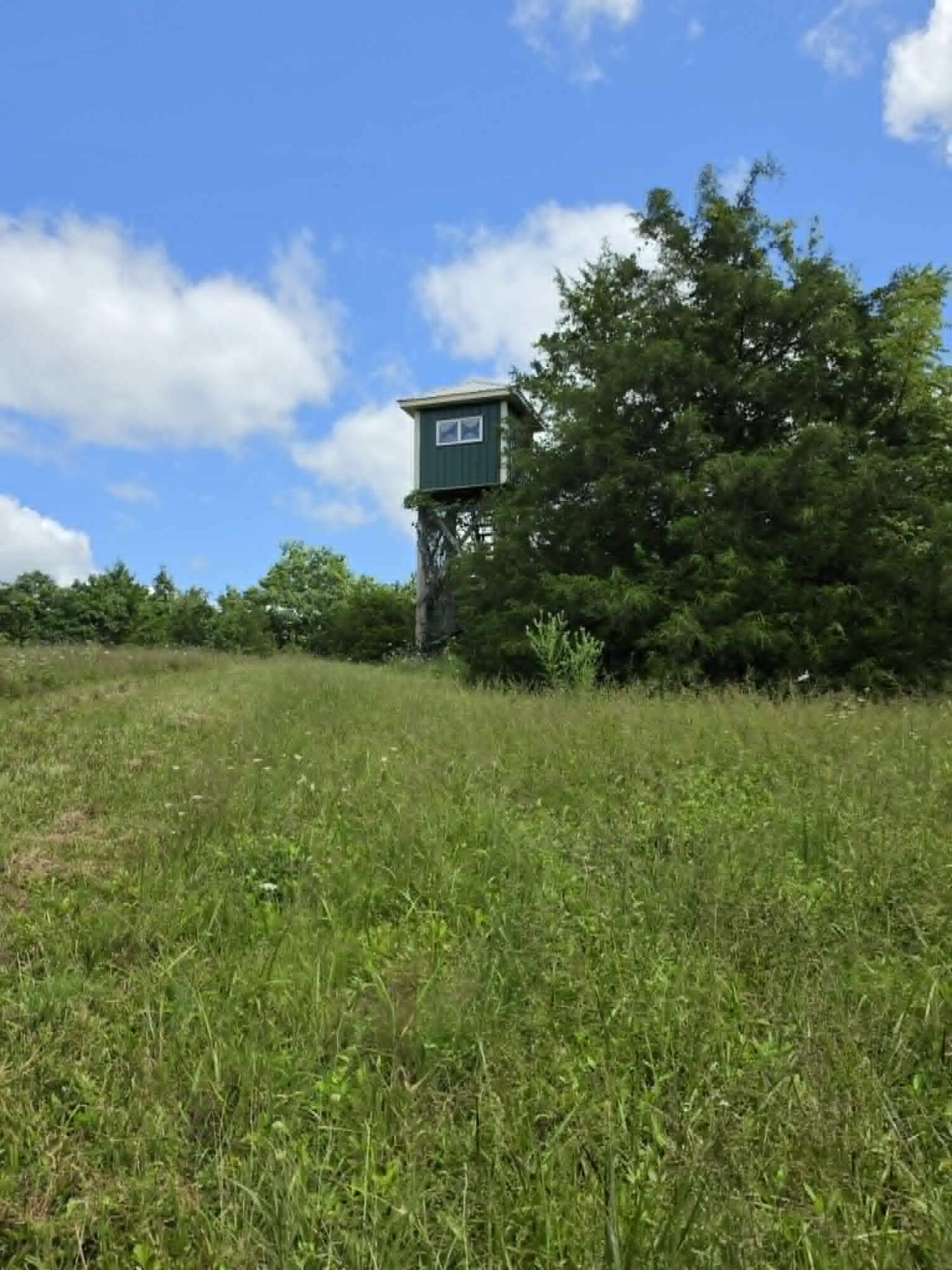 811 Hickory Ridge Road Waddy, KY 40076 - Photo 62 of 79 stand
