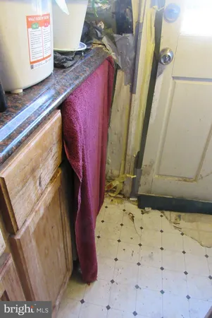 a bathroom with a toilet and a rug