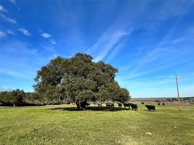 $881,310 | 9785 Oil Field Road, Brenham, TX 77833