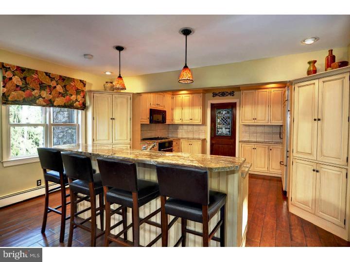 560 Reeds Road Downingtown, PA 19335 - Photo 3 of 25 Kitchen