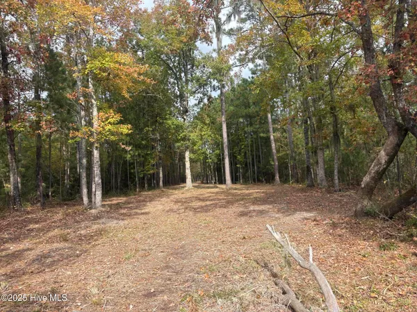 $115,000 | 408 Tarpon Pointe Road, Bath, NC 27808