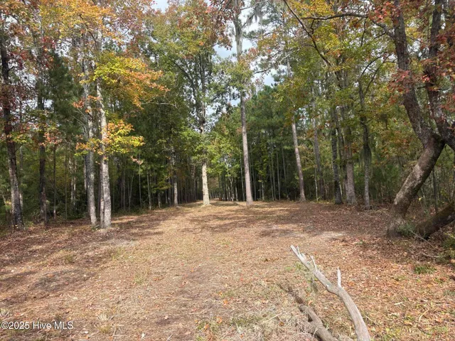 $115,000 | 408 Tarpon Pointe Road, Bath, NC 27808