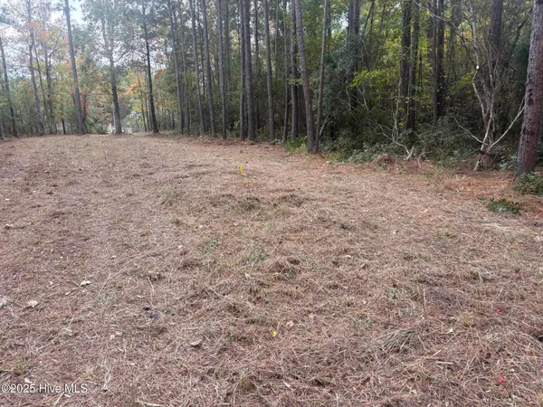 $115,000 | 408 Tarpon Pointe Road, Bath, NC 27808