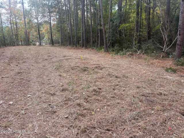 $115,000 | 408 Tarpon Pointe Road, Bath, NC 27808