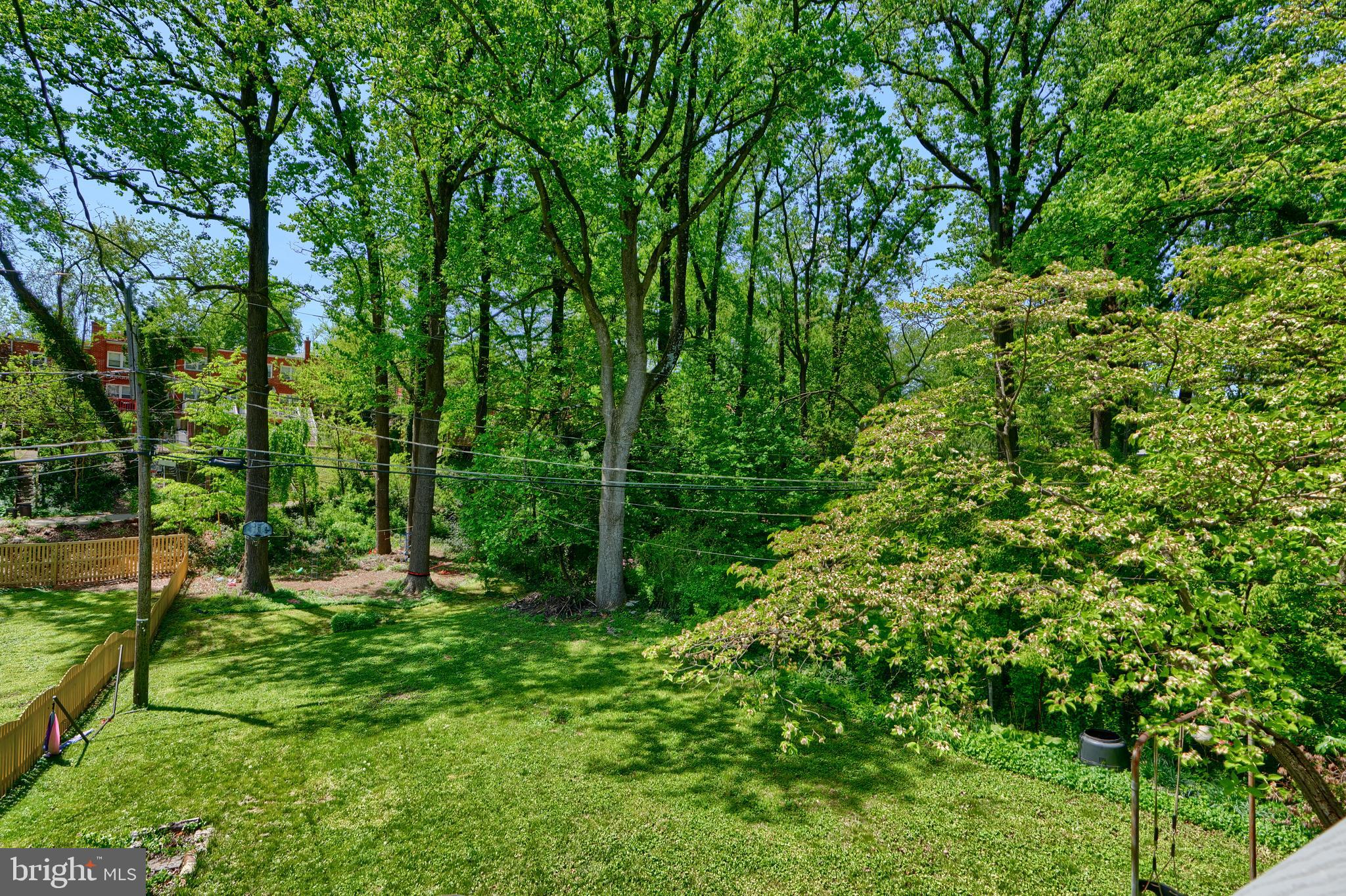 1111 Overbrook Road Baltimore, MD 21239 - Photo 43 of 47 a view of yard