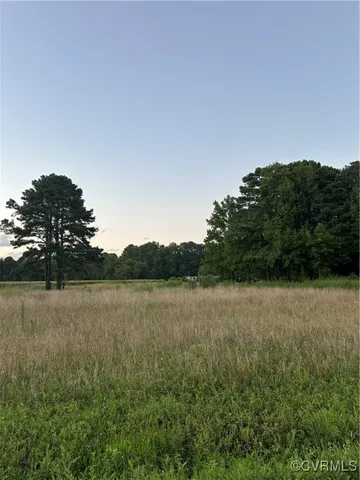 a view of a grassy field with trees in the background