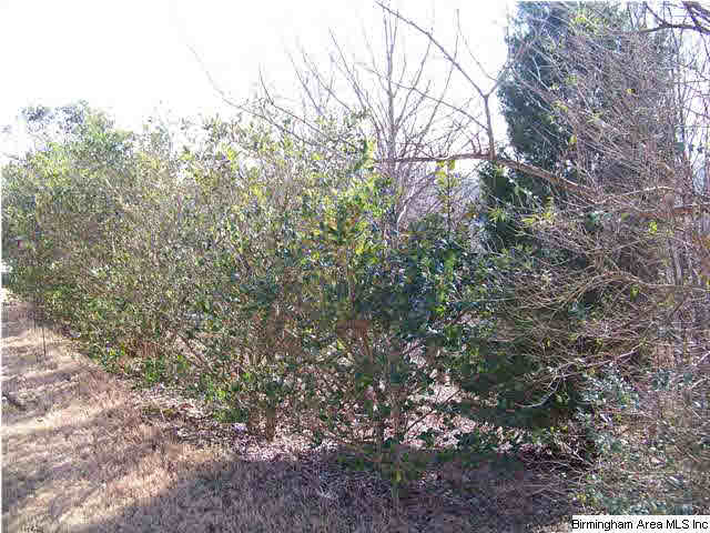 639 Clearview Road Birmingham, AL 35226 - Photo 23 of 23