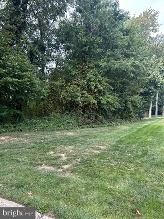 a view of a field with trees in the background