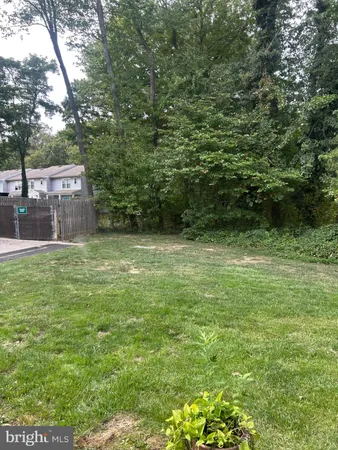 a view of a back yard