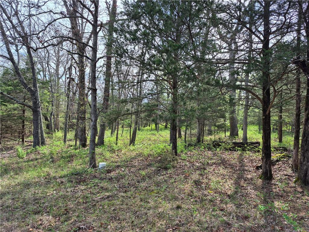 7905 Southeast 375 Road Collins, MO 64738 - Photo 16 of 30